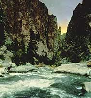 Torrence & Fellows Expedition