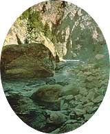 Torrence & Fellows Expedition