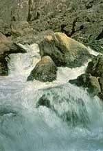 Torrence & Fellows Expedition