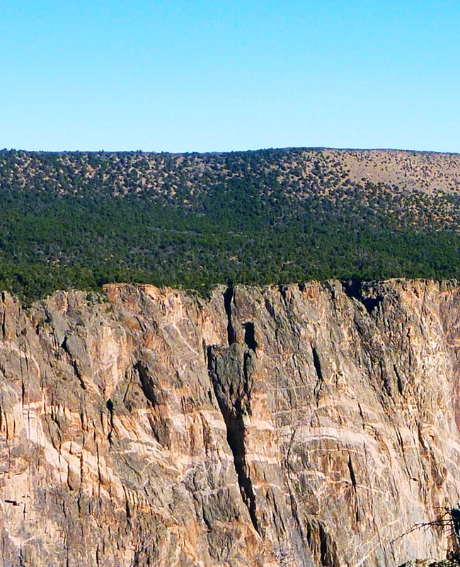 tree-covered mesa, made of Entrada Sandstone, above the canyon