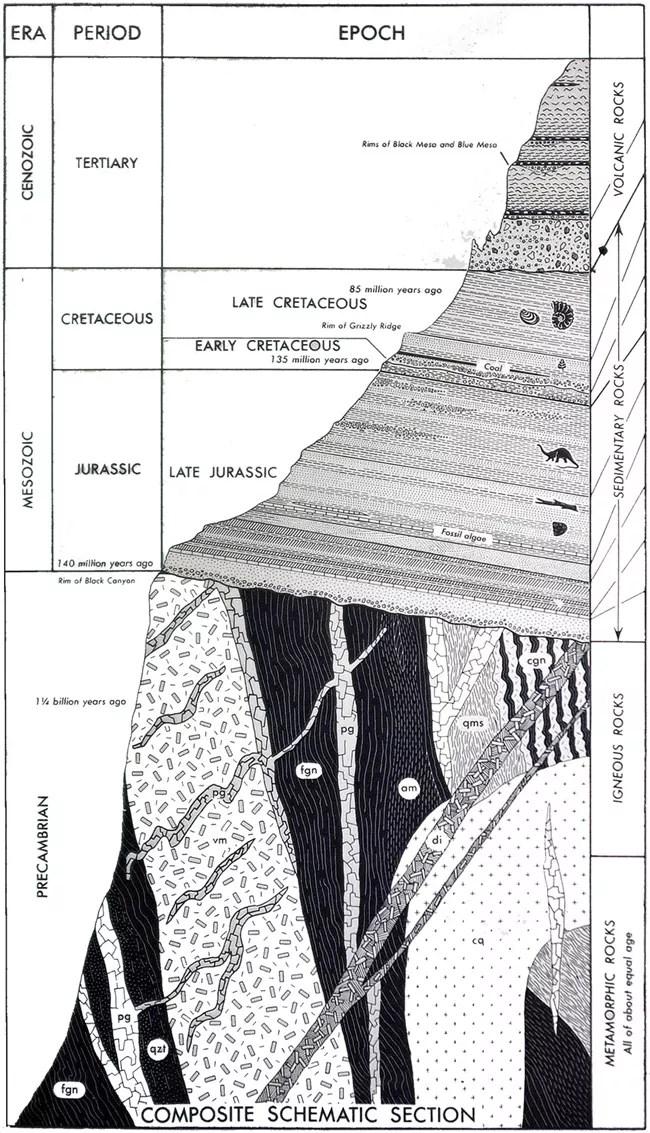 BLCAStratigraphicColumn