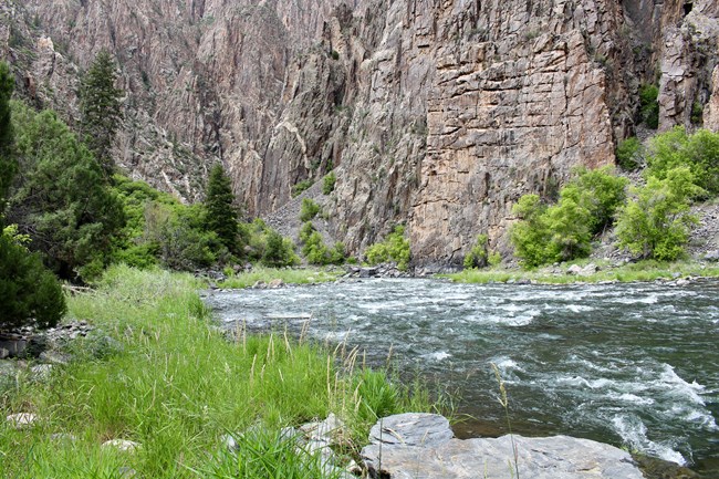 Shallow river with small rapids. Bright green foliage and trees grow along the riverbank. Steep, grey canyon walls go vertically up from the river.