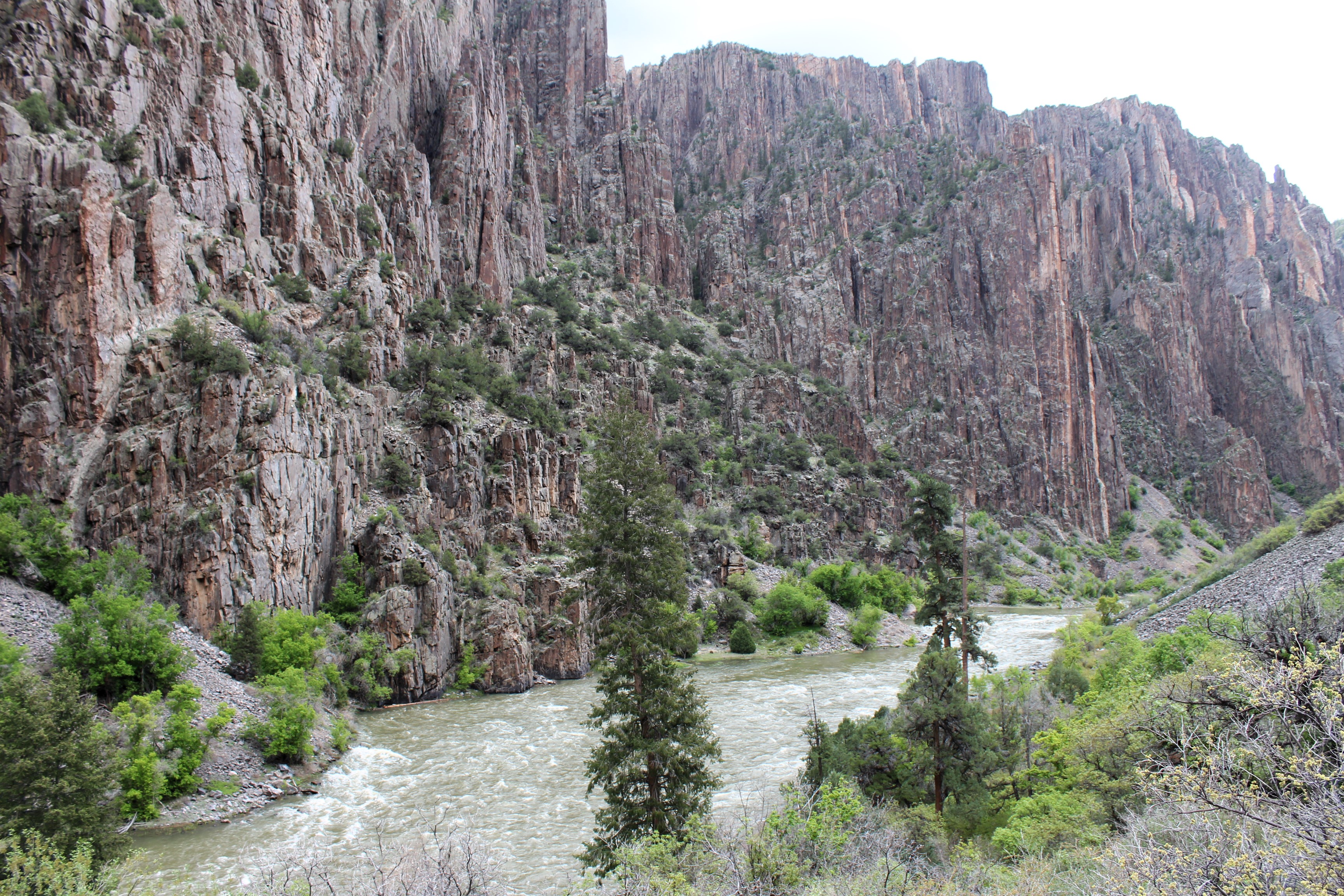 Tree and shrubs grow on either side of a canyon. The left side has steep brown walls. The right side is sloped with scree and more green plants. A grey river runs between the walls.