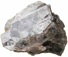 Muscovite Mica