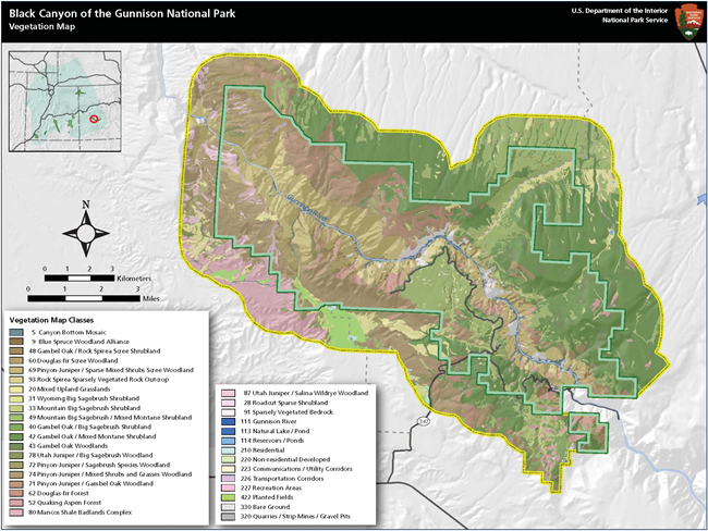 Vegetation map with various colorations to show different vegetation map classes. The map shows the park boundary outlined in yellow with mostly large sections of greens, browns, beige, and pink. The road is a thin black line. Black bar at the top.