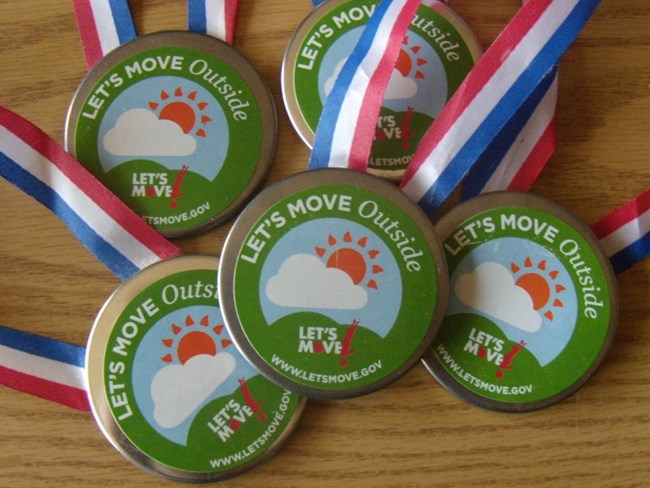 Wildlife Olympics medals