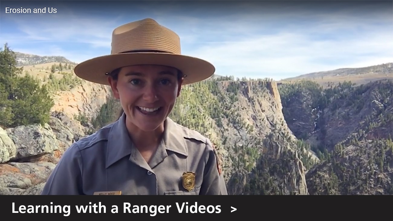 Learning with a Ranger Videos