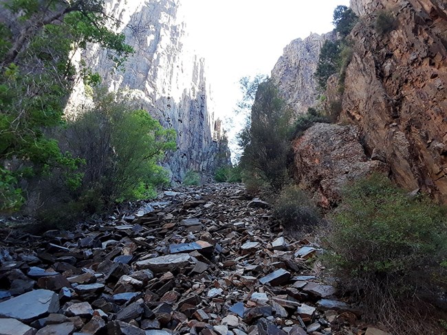 looking up at a long scree field tucked in a narrow draw in the cliffside