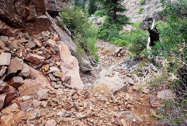 a steep, nearly vertical dirt path covered in loose rock heading into the canyon