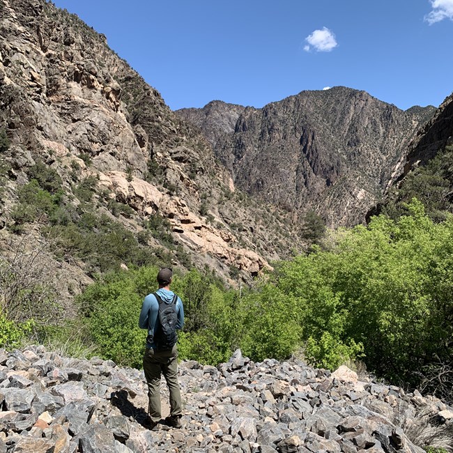 A perosn wearing a blue shirt, green pants, and a backpack stands facing a canyon scene. Tall dark walls rise up on all sides. Green vegetation is visible throughout.