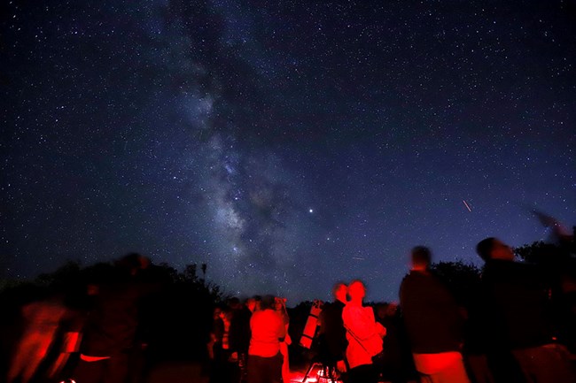 people around telescopes with a starry night sky overhead