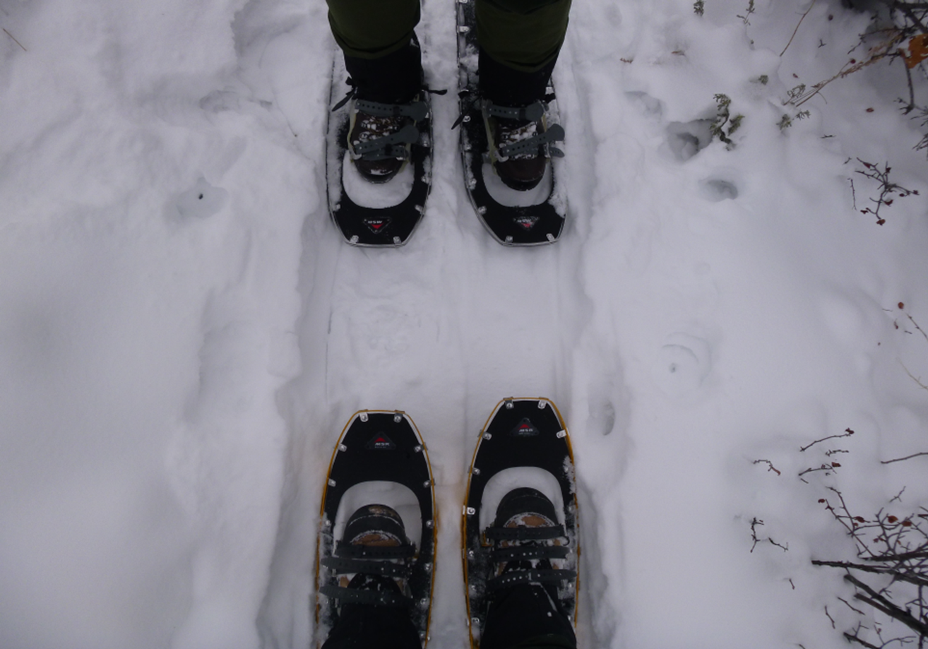 Two pairs of snowshoes facing each other.