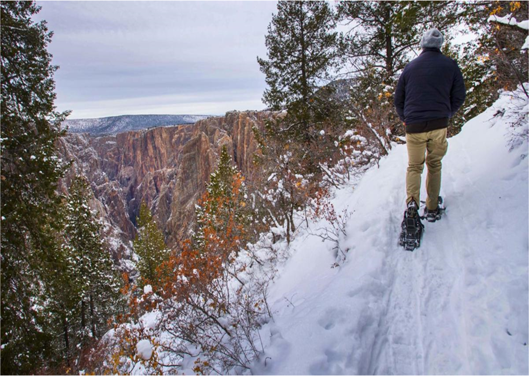 Snowshoer hikes along tree-lined trail with views of canyon.