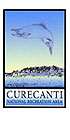 Curecanti Pin