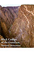 Black Canyon Painted Wall Magnet