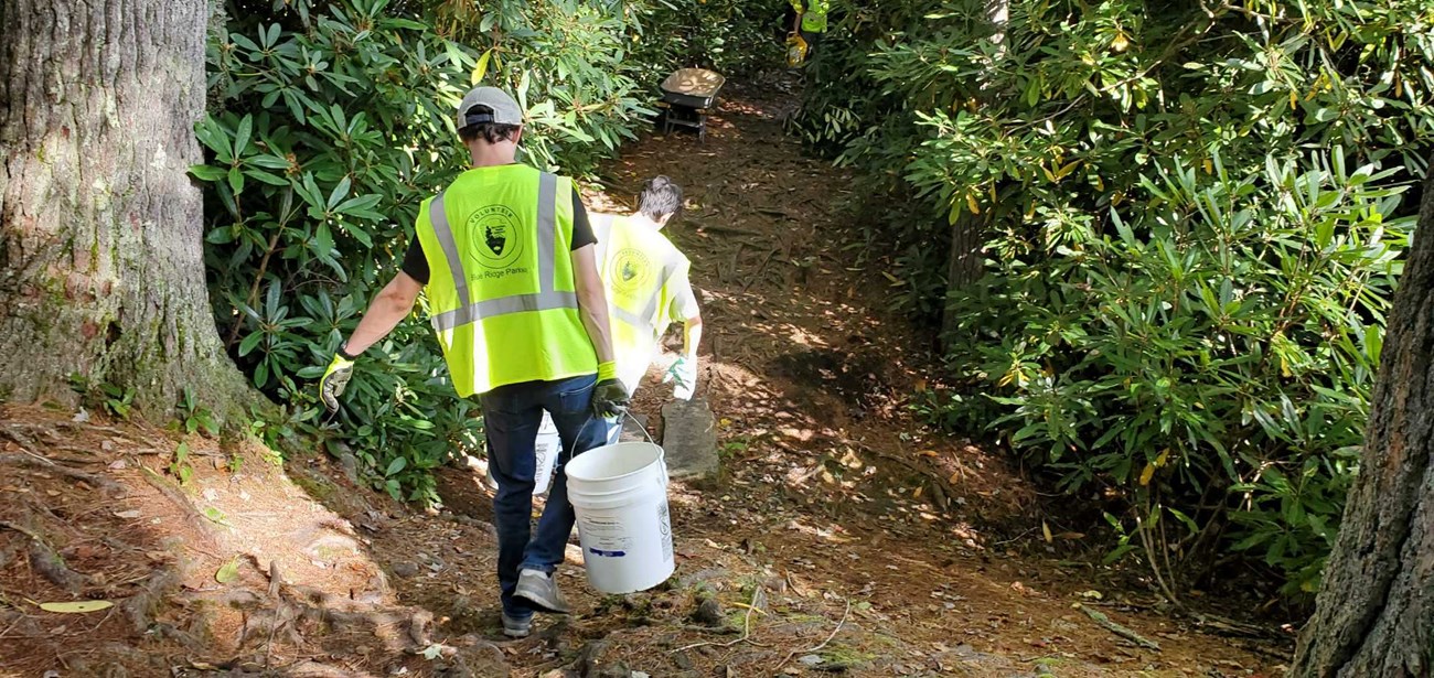 Volunteers in yellow vests carry buckets.