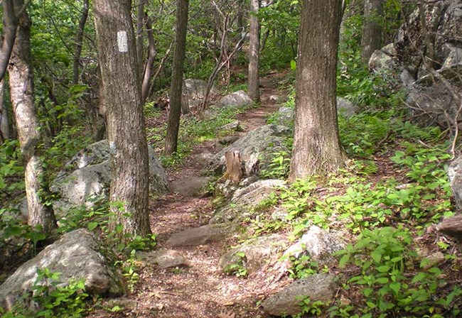 Hiking - Blue Ridge Parkway (U.S. National Park Service)