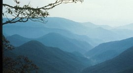 Parkway vista from the Pisgah area. Parkway vista from the Pisgah area.