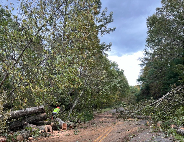 Debris clearing on the Parkway near Galax, VA A person wearing a safety vest chainsaws large downed trees that partially cover a road in the forest