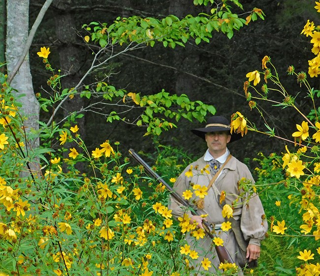 A man in revolutionary era clothing, holding a gun, stands on the edge of a field of yellow flowers
