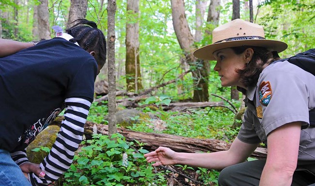 A ranger and child examine a wildflower in the forest A ranger and child examine a wildflower in the forest