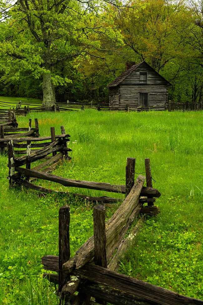The Puckett Cabin sits in a sea of green grass.