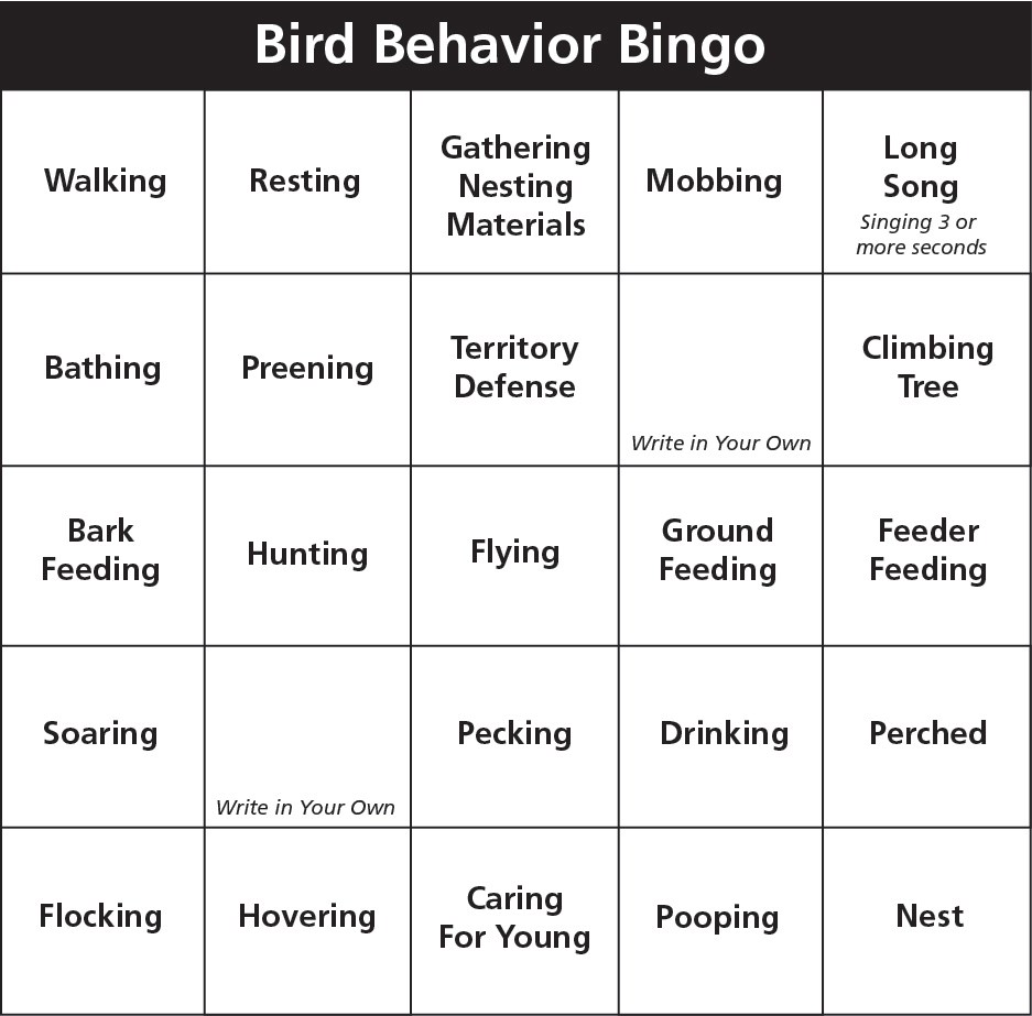 A bingo card with 5 rows and 5 columns of boxes in it