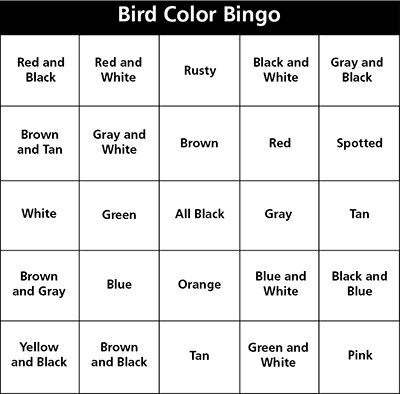 A bingo card titled "Bird Color Bingo". It has 5 rows and 5 columns that create a grid of 25 boxes. Detailed alt text on page linked to by clicking on image.