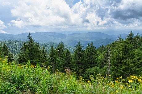 View from Richard Balsam Mountain, highest point on the parkway.