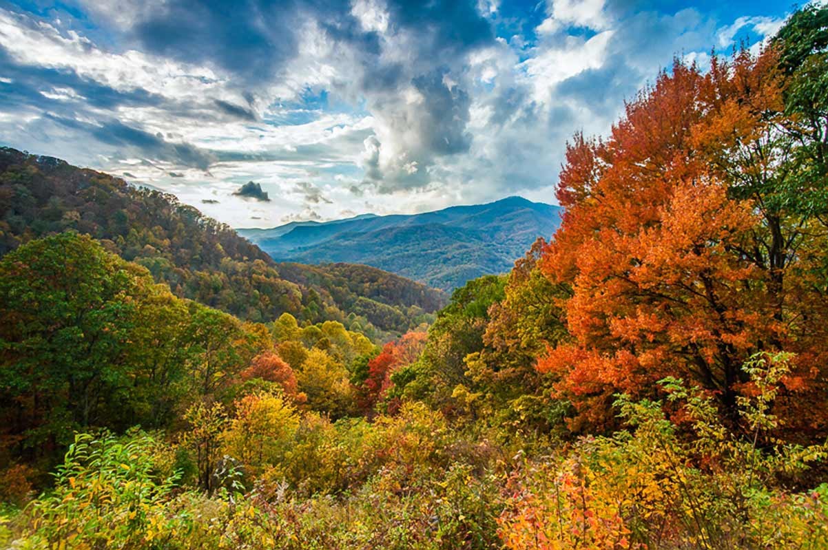 Brilliant orange fall foliage frames a view of distant mountains