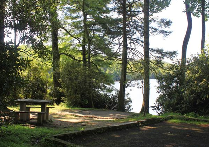 A campsite in Loop A of Julian Price Campground A campsite in Loop A of Julian Price Campground