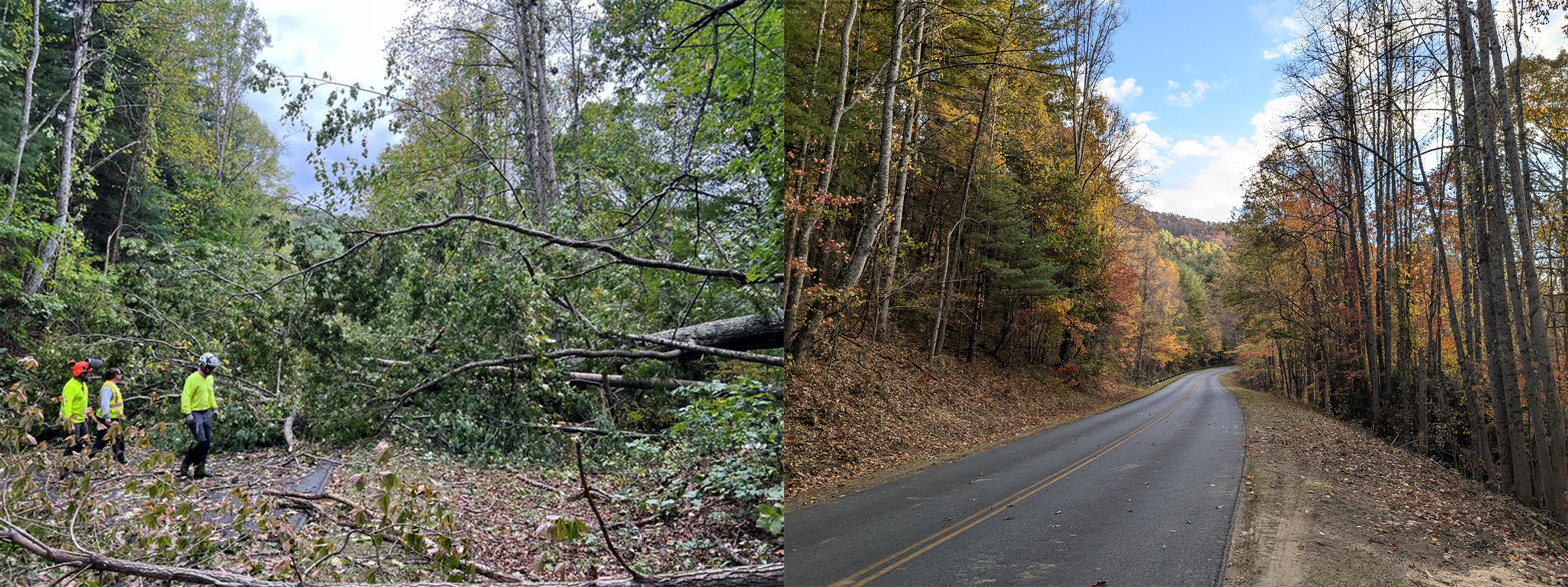 Before and After - Asheville Corridor Hurricane Helene Two pictures combined - the left showing a large 15 foot pile of fallen trees covering the road and the right showing a clear road winding through a fall forest