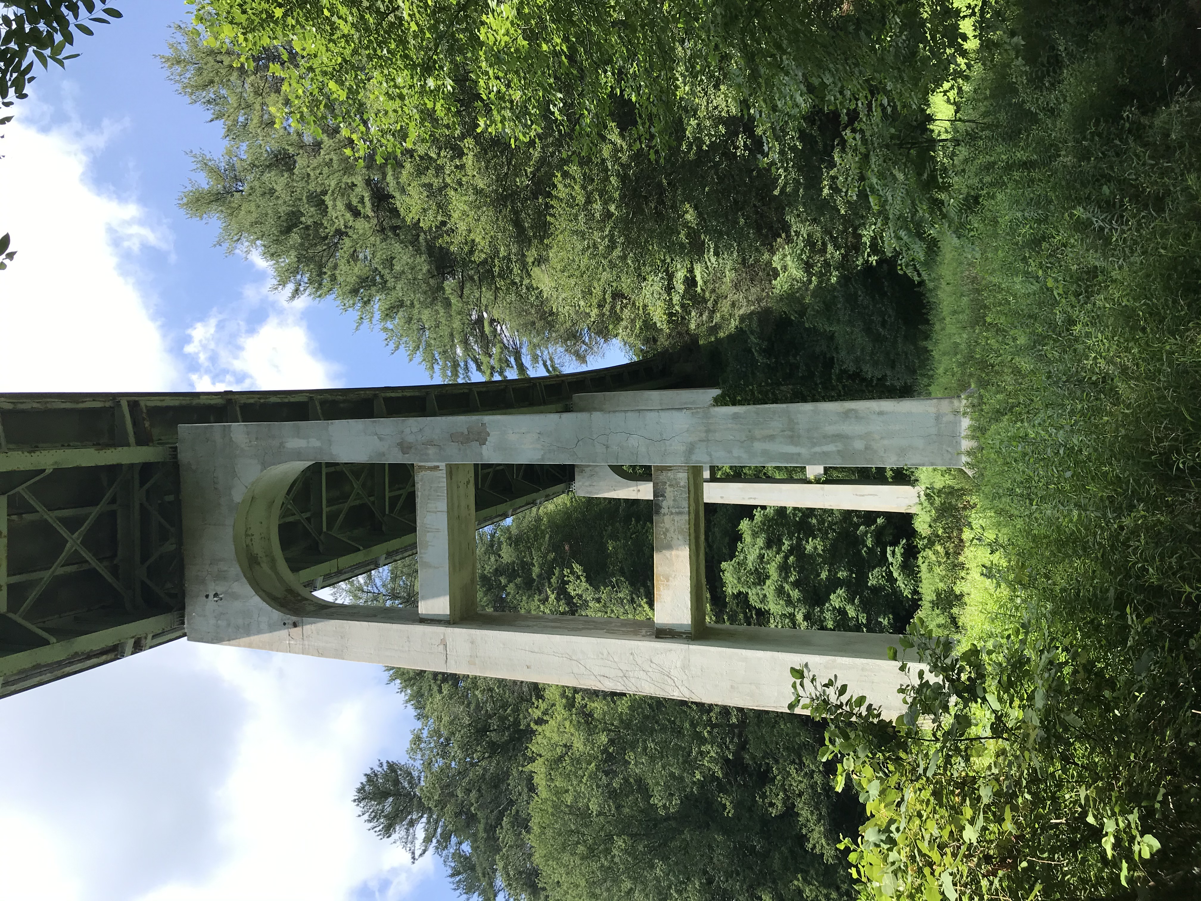 The tall, concrete legs of a bridge with green trees.