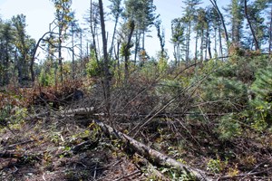 debris002
