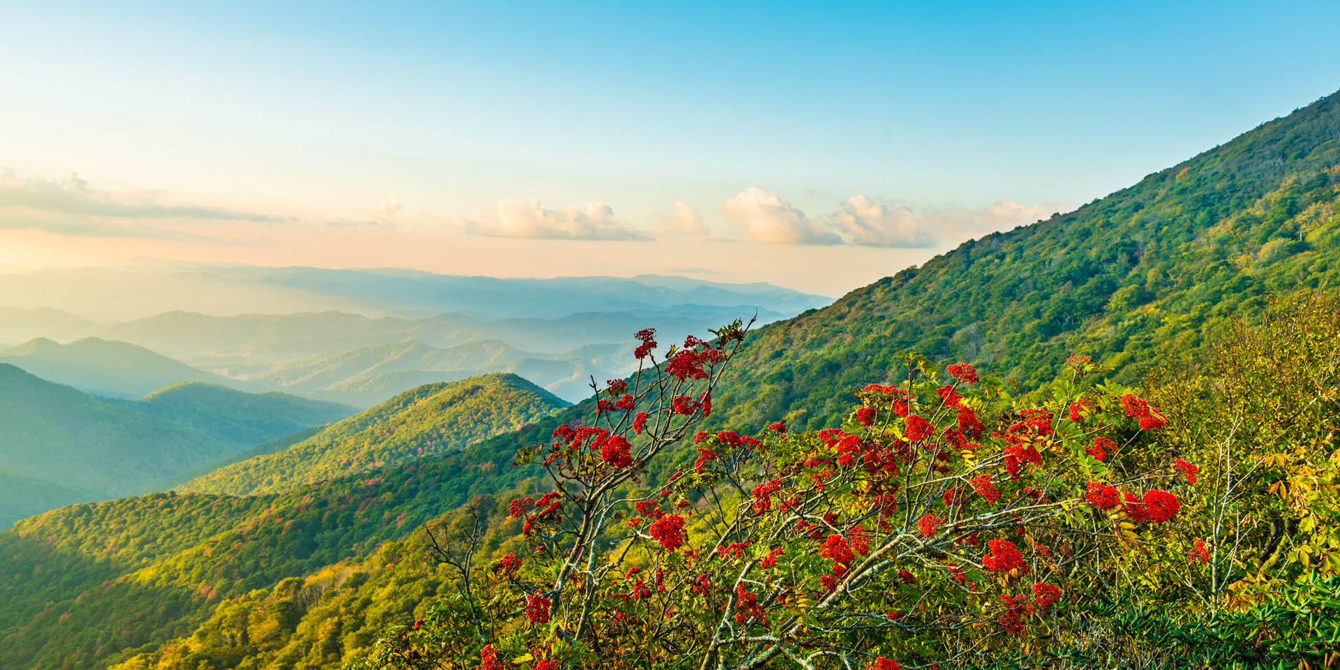 Craggy Gardens Milepost 364 Blue Ridge Parkway U S National