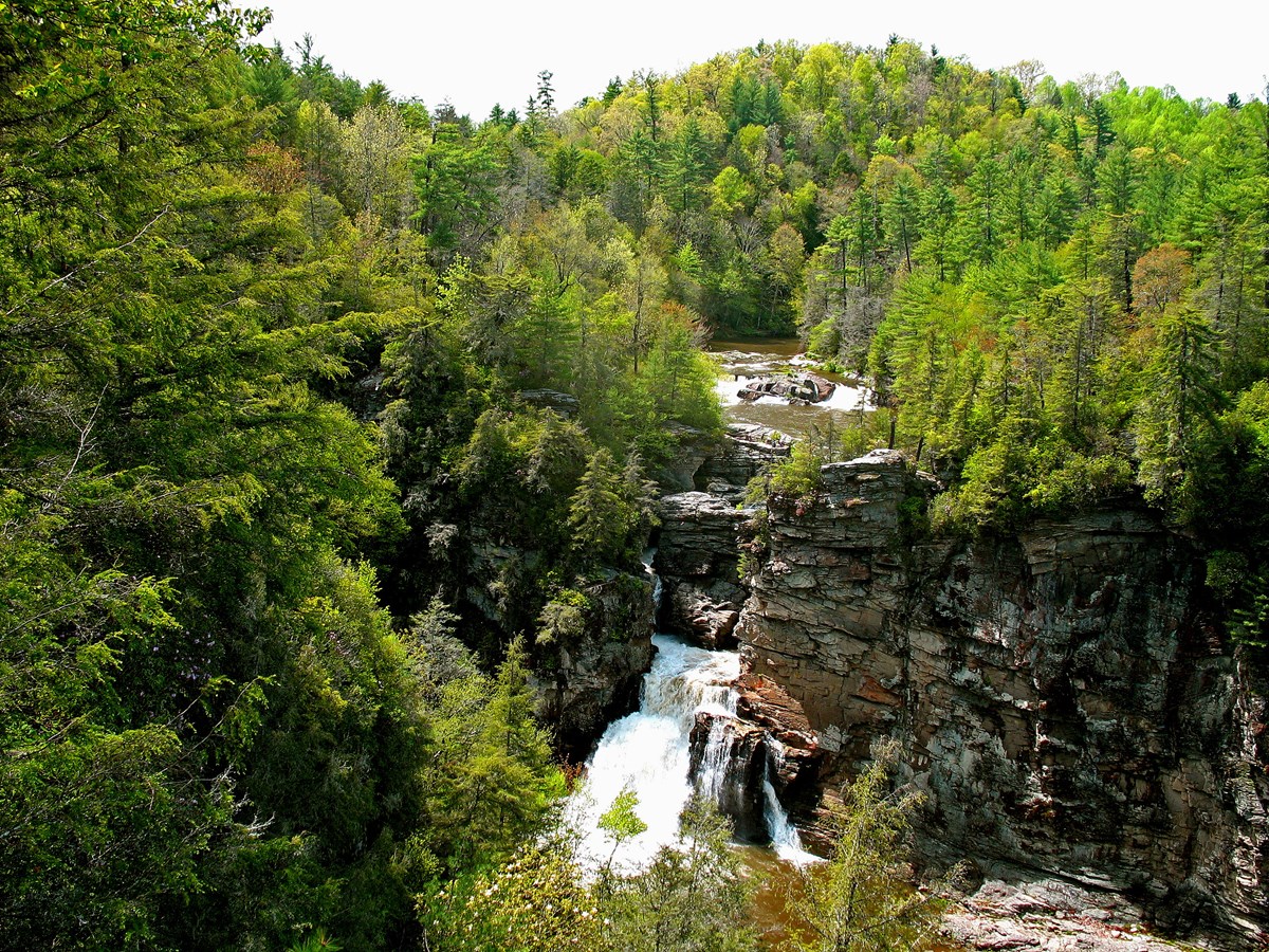 Roaring Linville Falls surrounded by greenery