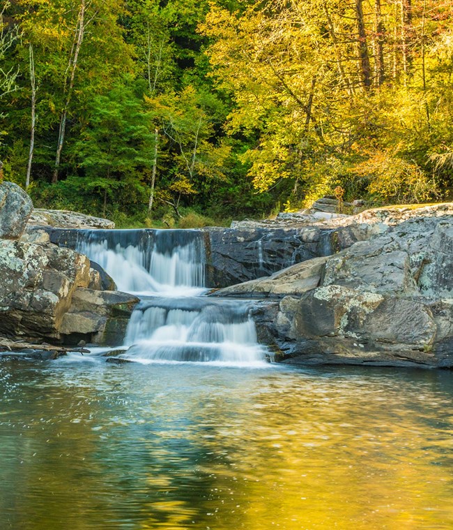 Yellow fall leaves reflected on the pools below Upper Linville Falls