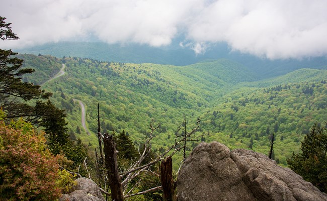 View of mountains and Parkway from Waterrock Knob summit trail