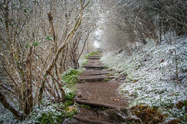 Dusting of snow lining the Waterrock Knob trail