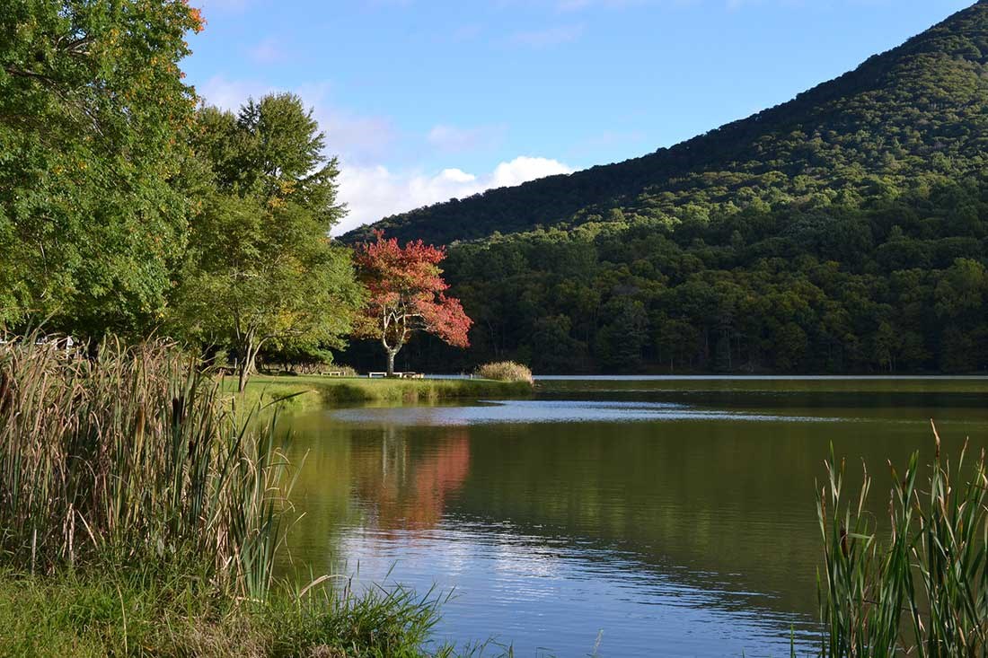 A mountain rises up behind a lake. Cattail rushes line the near bank of the lake.