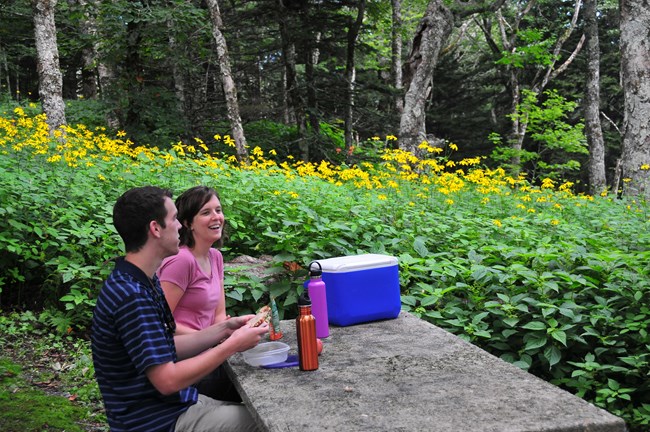 A man and woman sit at a picnic table in the forest. Yellow wildflowers line the edge of the forest