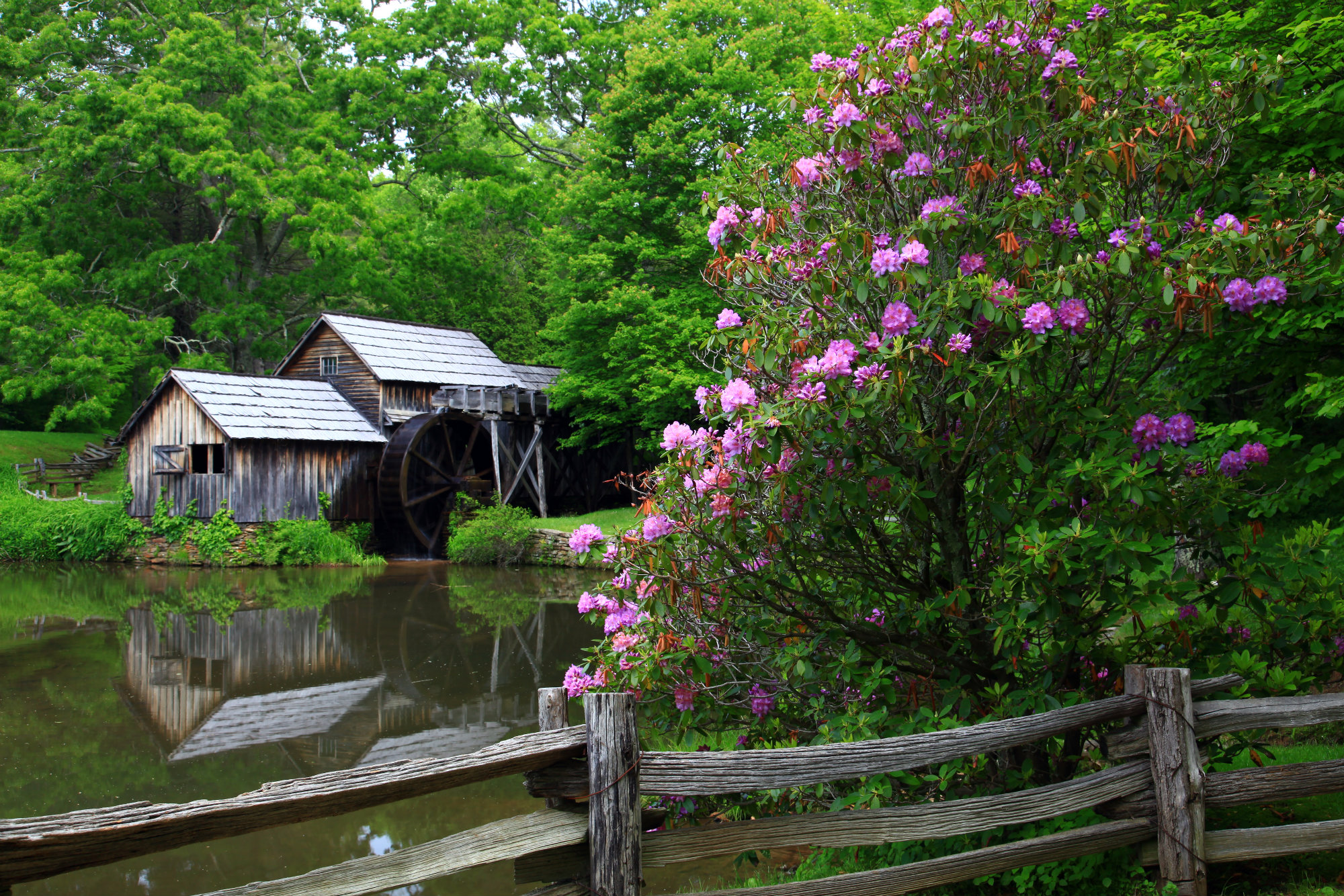 Mabry Mill - Milepost 176 - Blue Ridge Parkway (U.S. National Park Service)