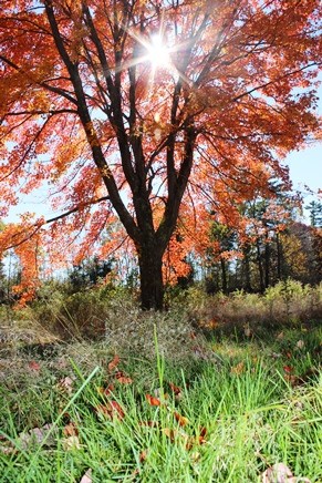 autumn in the Blackstone Valley