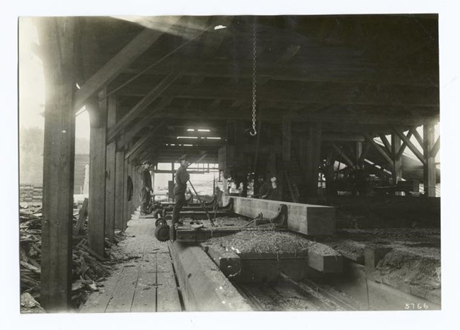 two men working in a lumber yard