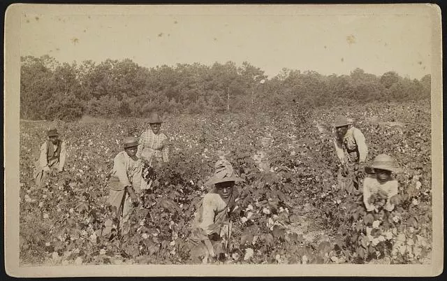 slaves-picking-cotton_2.jpg