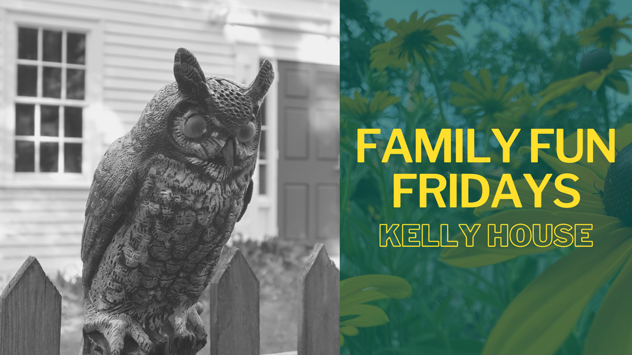 Decoy owl on top of a fence with Family Fun Friday text to the right of image