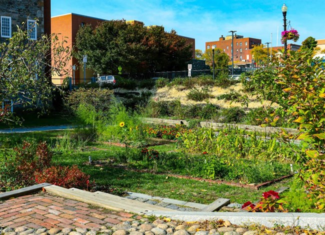 Garden at Old Slater Mill National Historic Site