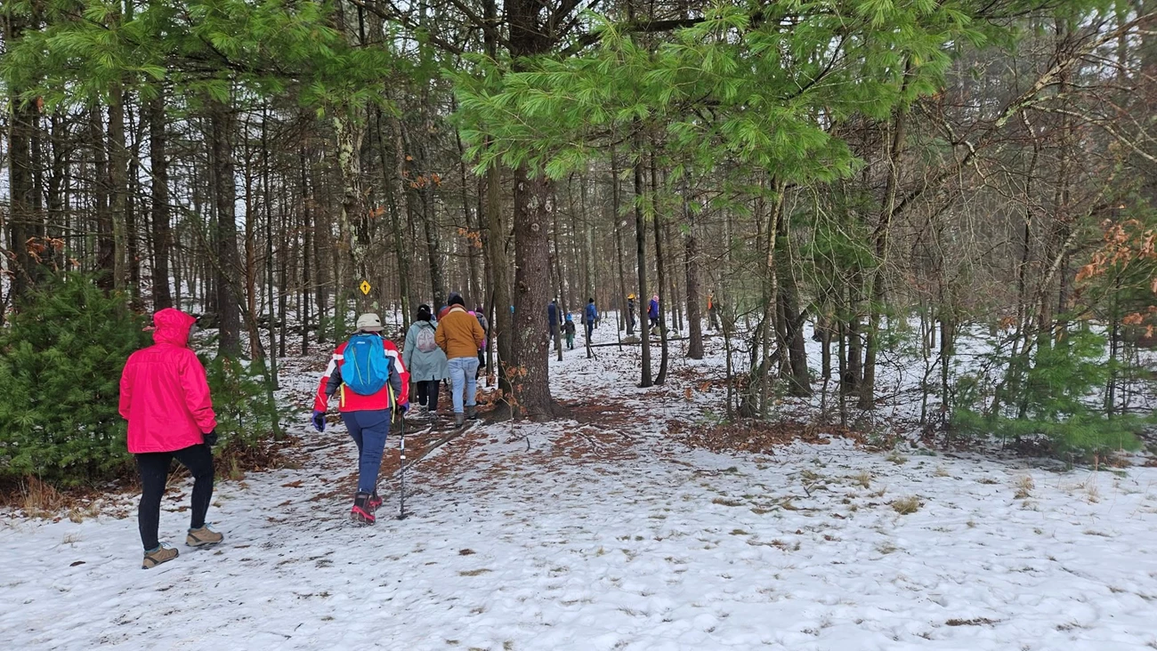 Hike Group of people walking away from the camera into the woods. A fresh layer of snow on the ground