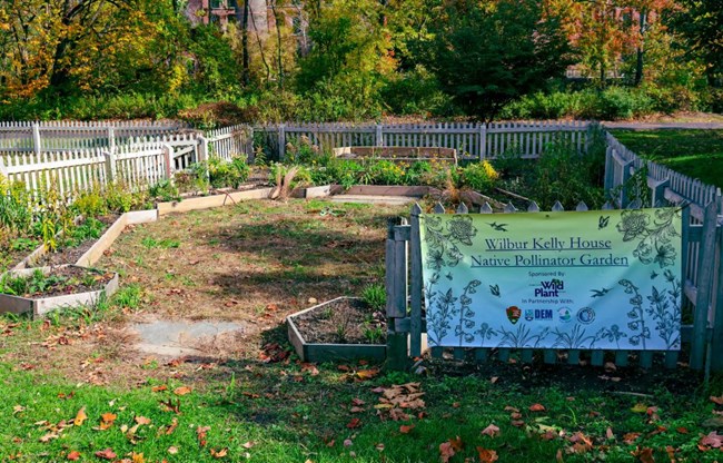 Pollinator garden at Kelly House. Flowers planted in a fenced in area.