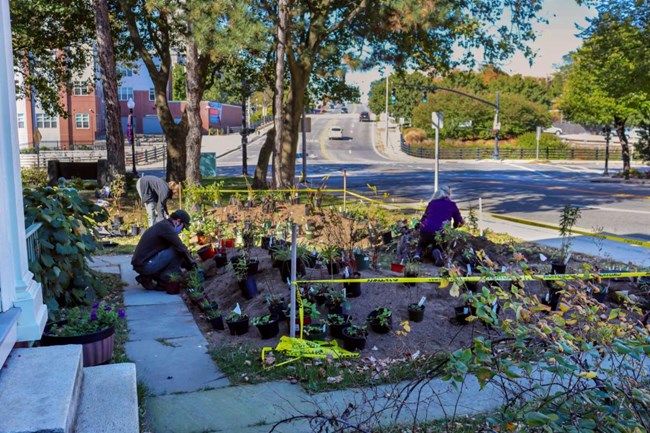 Staff and volunteers planting native plants